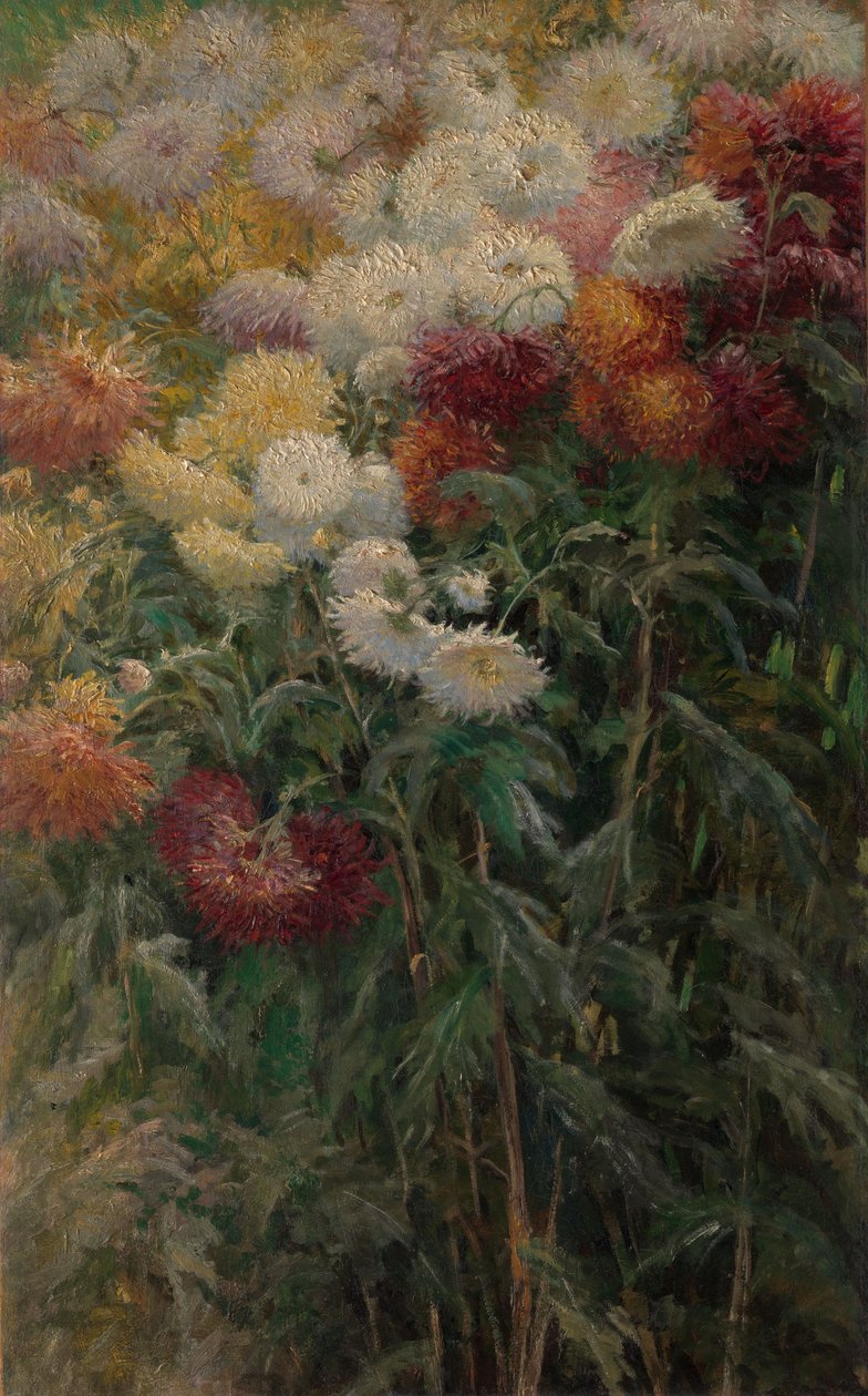 Chryzantemy w ogrodzie w Petit-Gennevilliers autorstwa Gustave Caillebotte