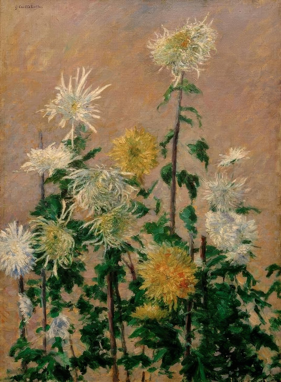 Białe i żółte chryzantemy autorstwa Gustave Caillebotte