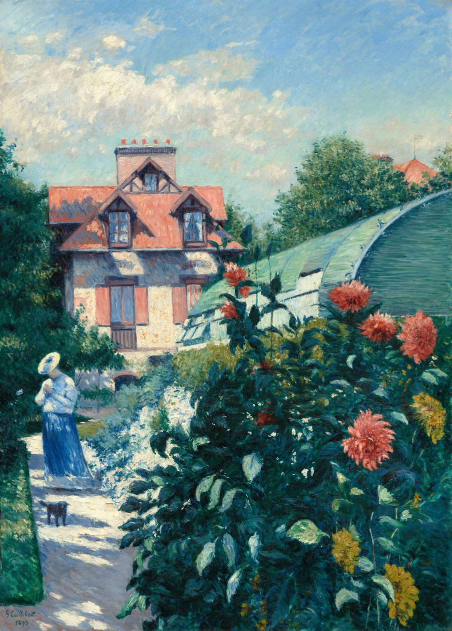 Dalie, Ogród w Petit Gennevilliers, 1893. autorstwa Gustave Caillebotte