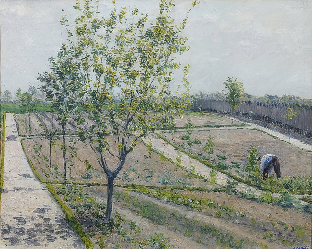 Ogród warzywny, Petit Gennevilliers. 1881-82 autorstwa Gustave Caillebotte