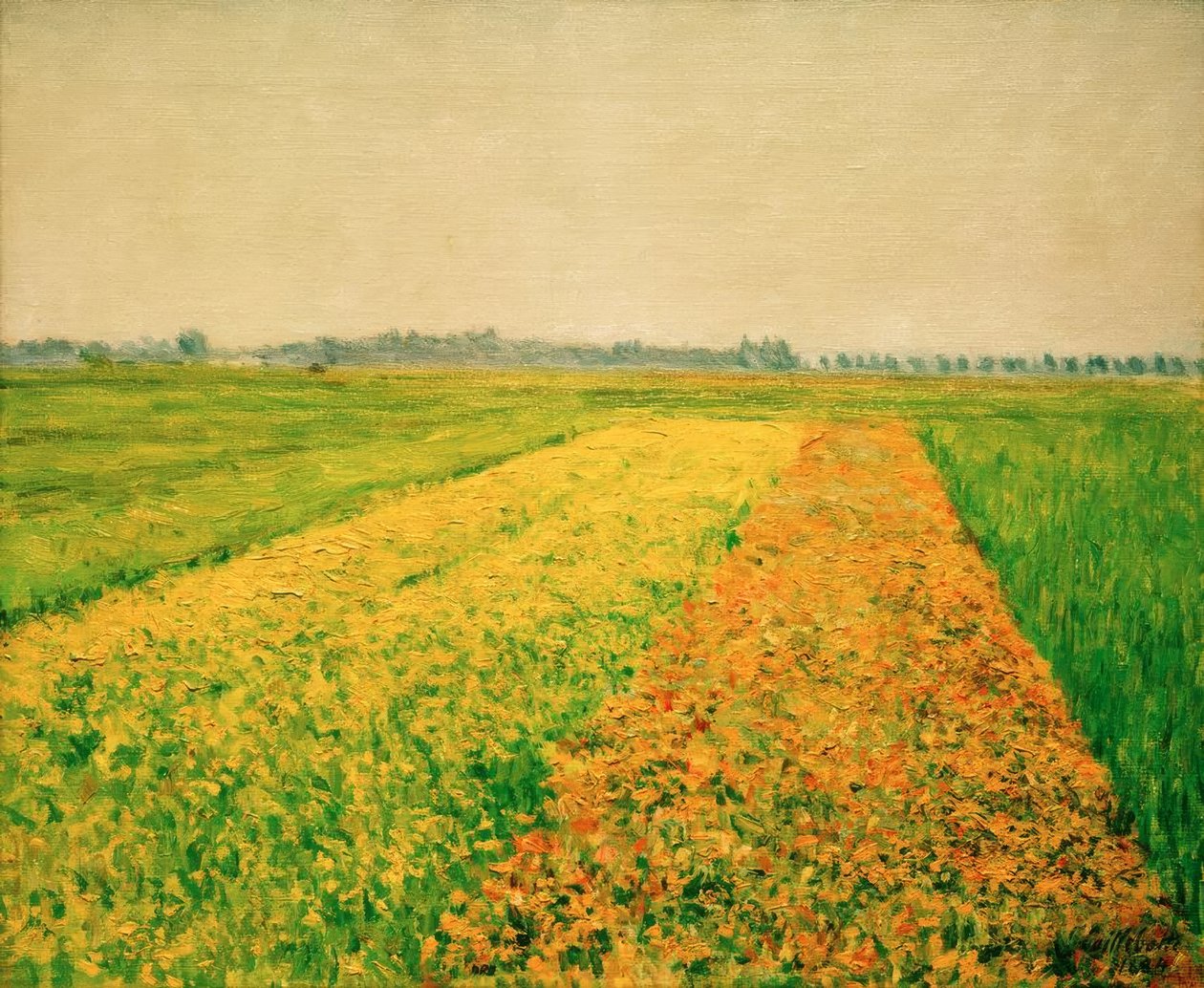 Równina Gennevillierów, żółte pola autorstwa Gustave Caillebotte