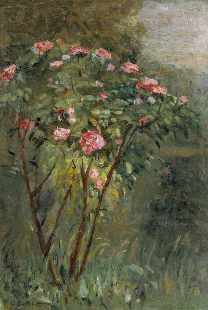 Krzak różany autorstwa Gustave Caillebotte