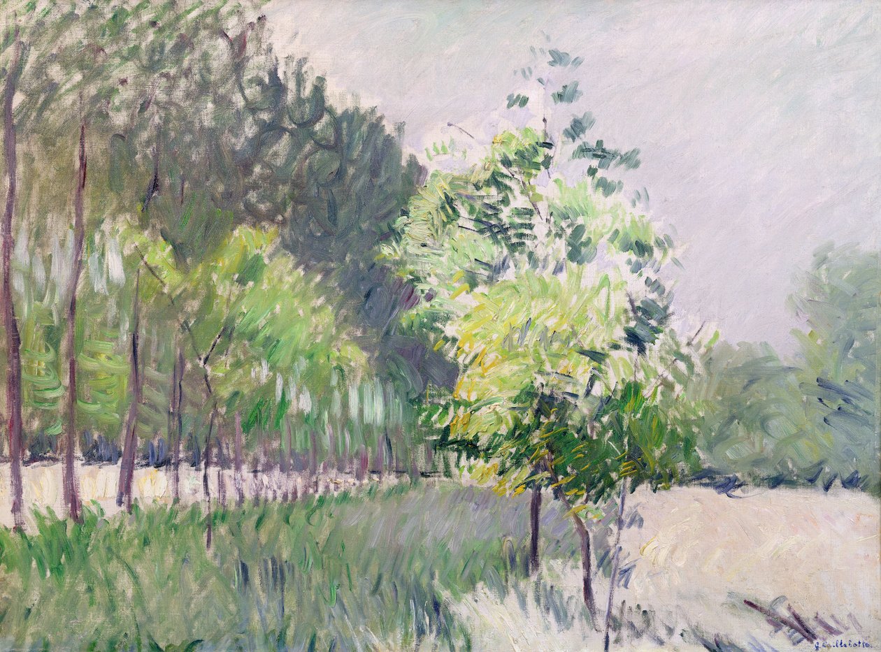 Sad i aleja drzew autorstwa Gustave Caillebotte