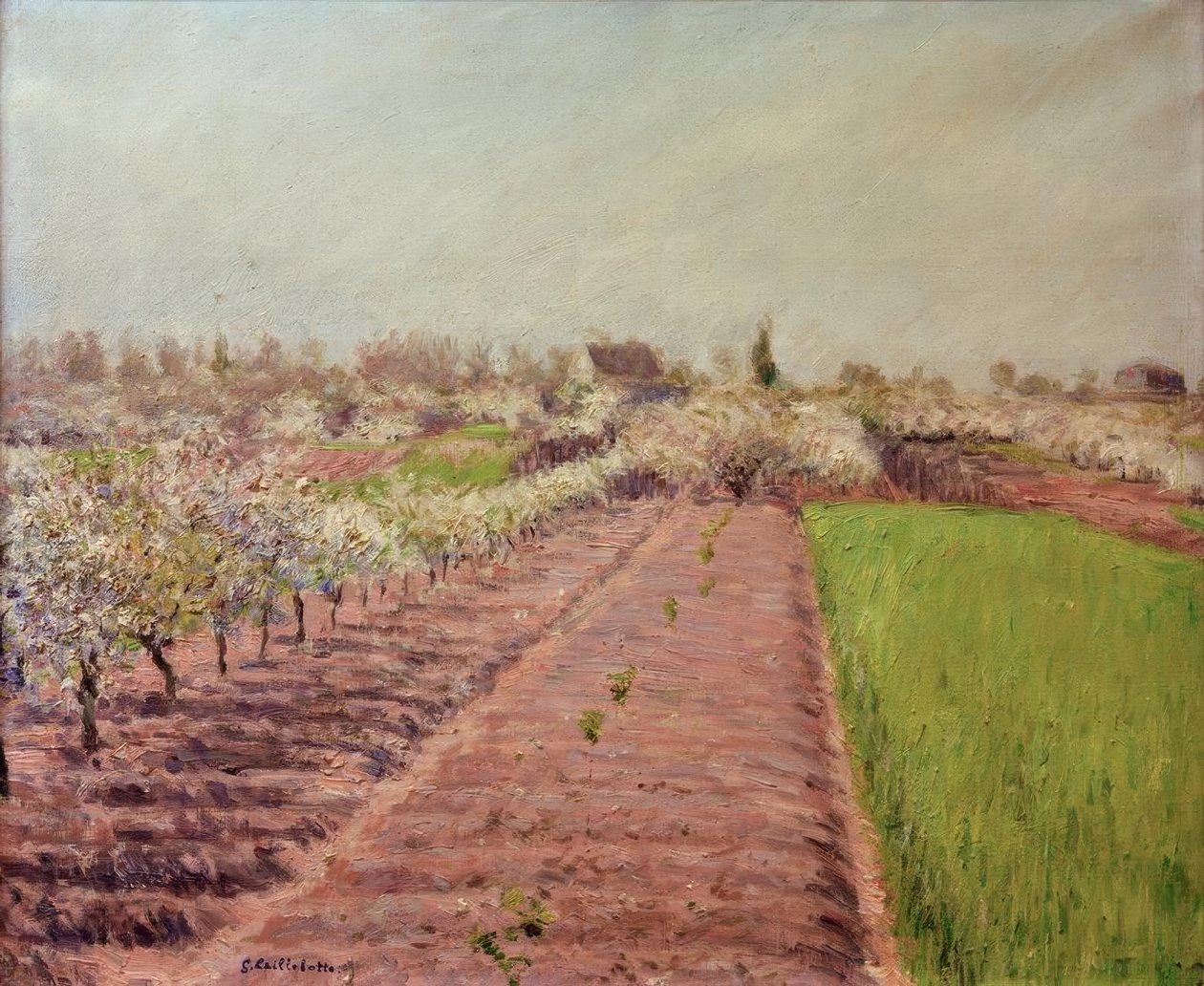 Kwitnące jabłonie, zbocze wzgórza Colombes autorstwa Gustave Caillebotte