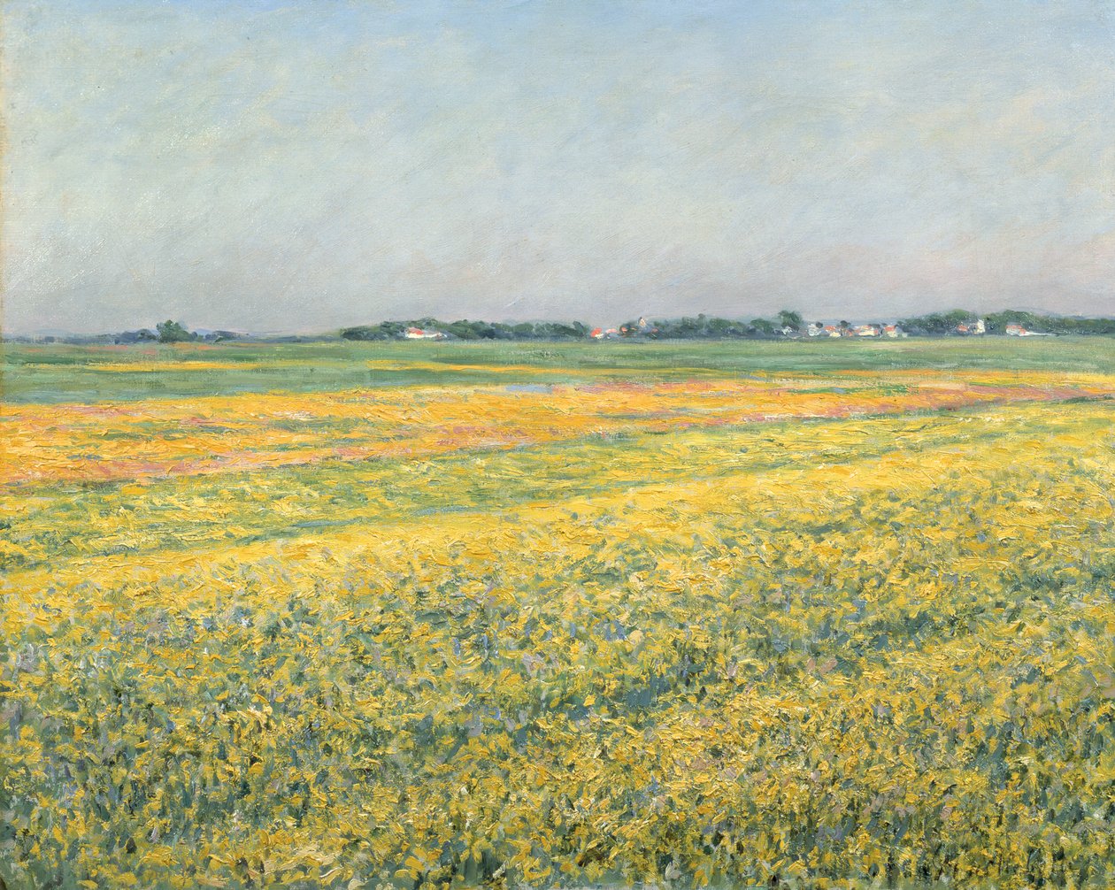 Równina Gennevilliers, żółte pola; Równina Gennevilliers, żółte pola, 1884 autorstwa Gustave Caillebotte