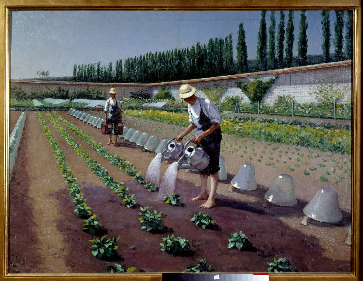 Ogrodnicy. Dwóch mężczyzn z konewkami nawadnia swoją plantację. W pobliżu nich szklane dzwony służyły do okrywania upraw. Obraz Gustave Caillebotte (1848-1894) autorstwa Gustave Caillebotte