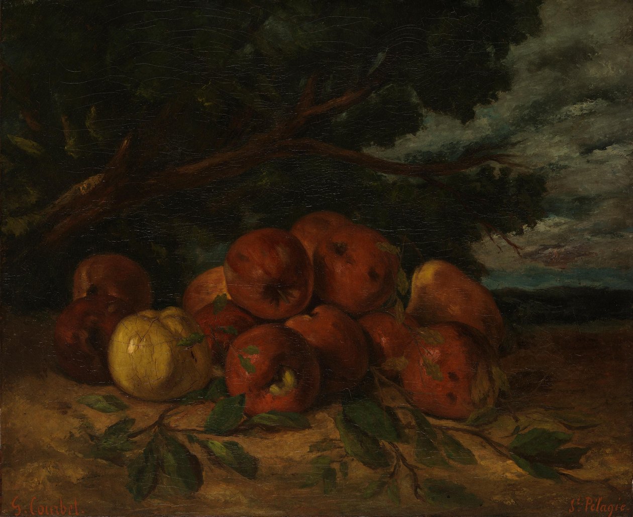 Martwa natura z jabłkami autorstwa Gustave Courbet