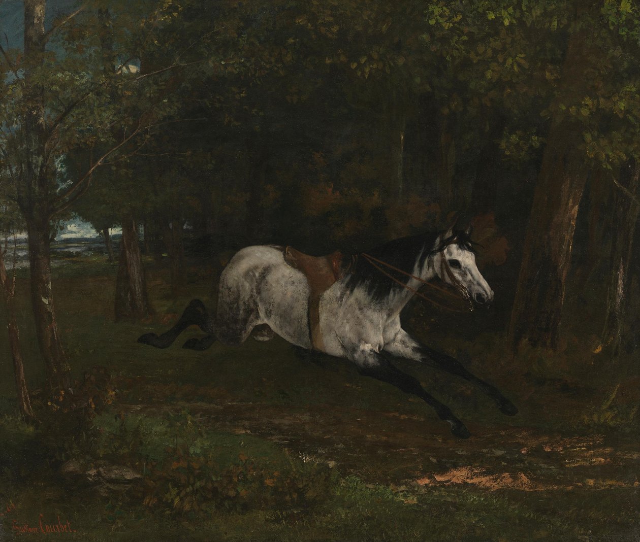 Koń biegnący autorstwa Gustave Courbet