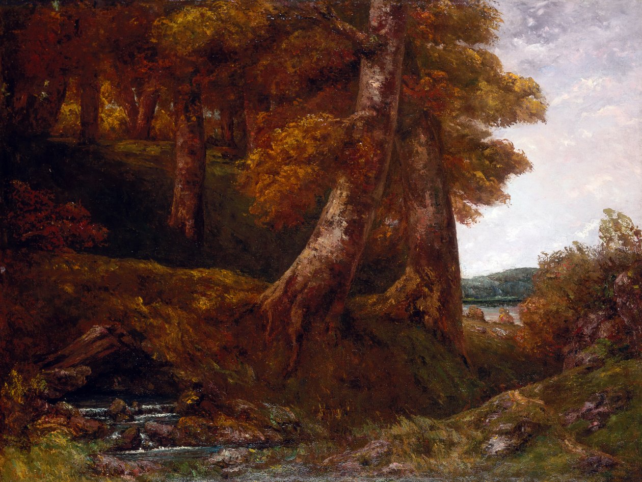 Wejście do lasu, ok. 1855 (olej na płótnie) autorstwa Gustave Courbet