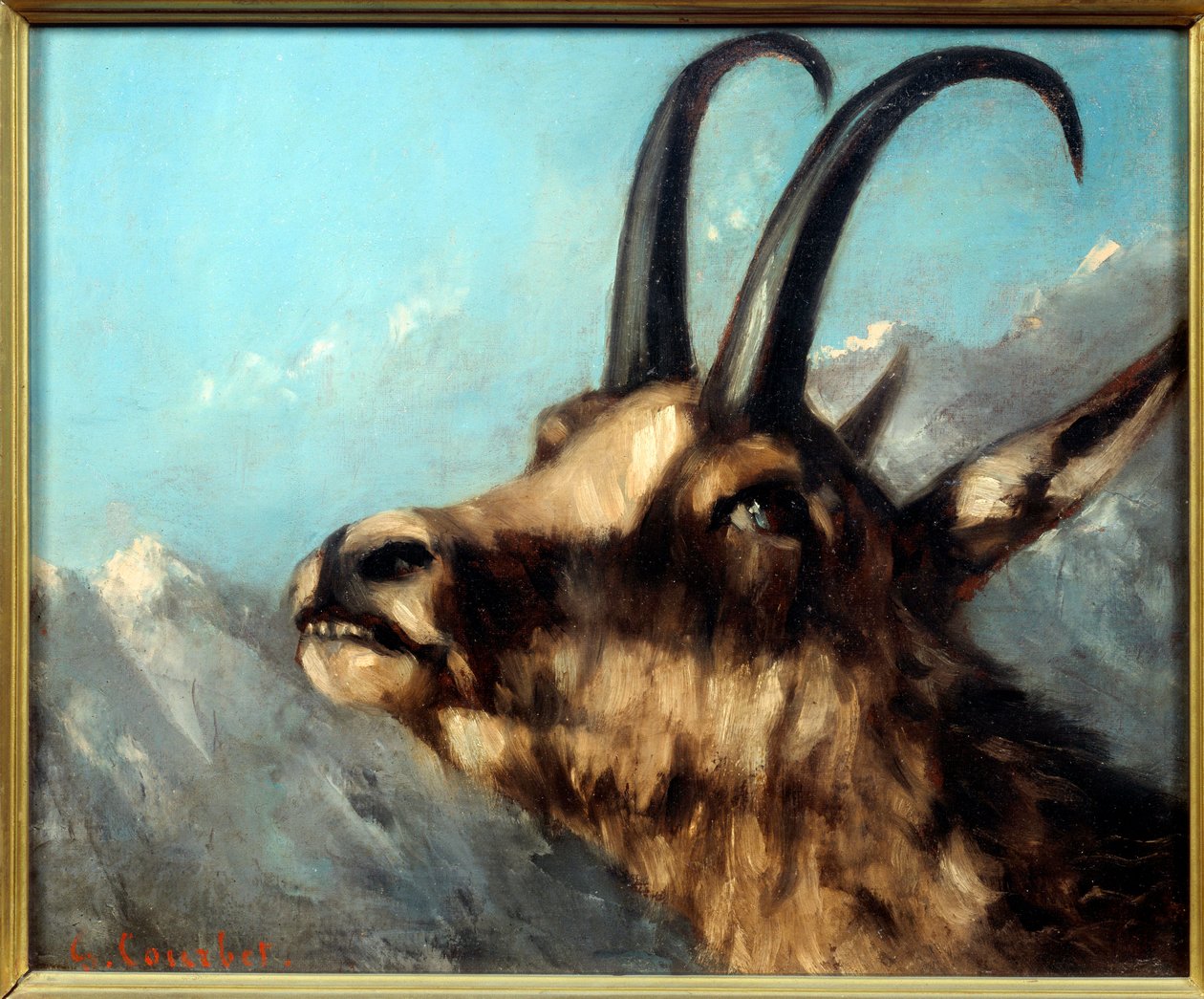 Szef malarstwa kozicowego Gustave Courbet autorstwa Gustave Courbet