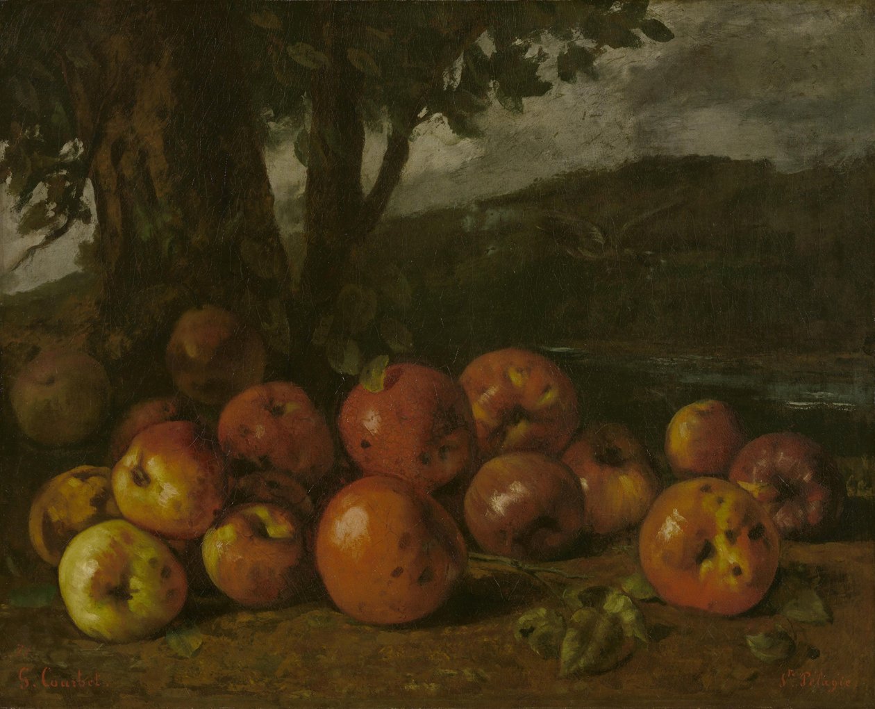 Martwa natura z jabłkami autorstwa Gustave Courbet