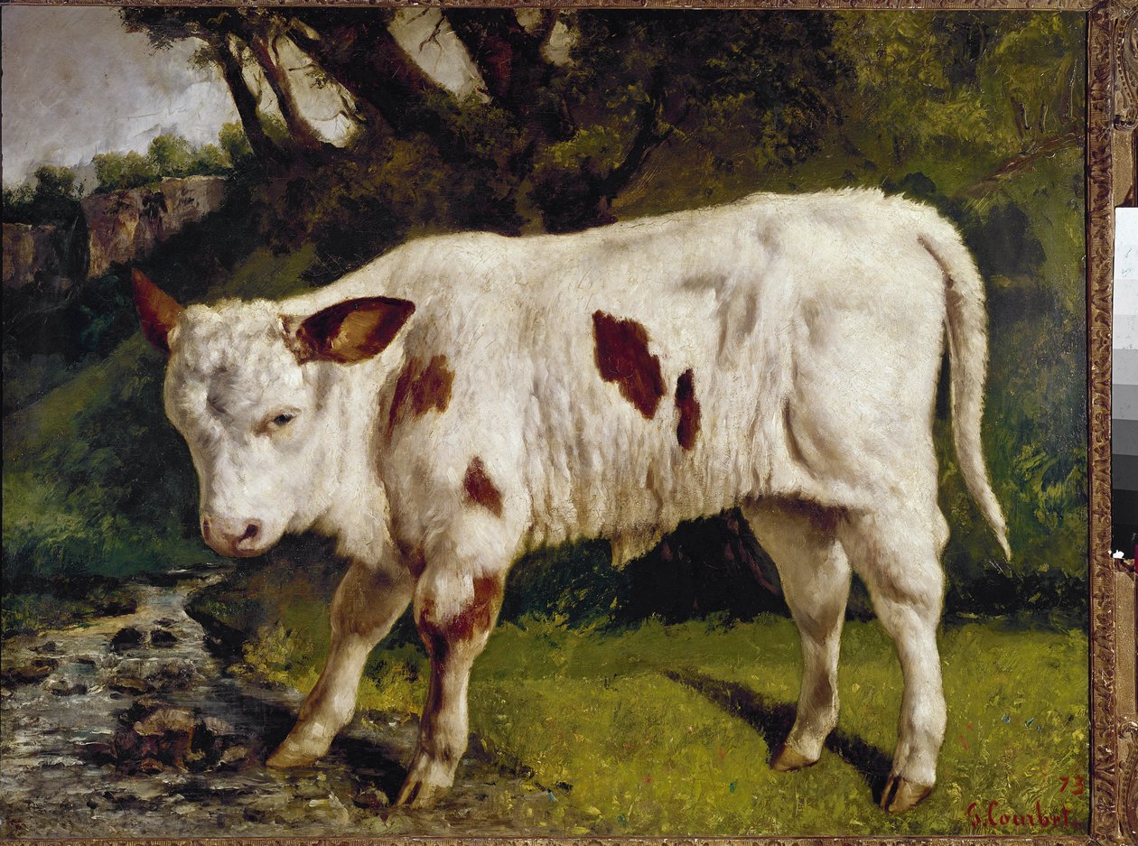 Cielę autorstwa Gustave Courbet