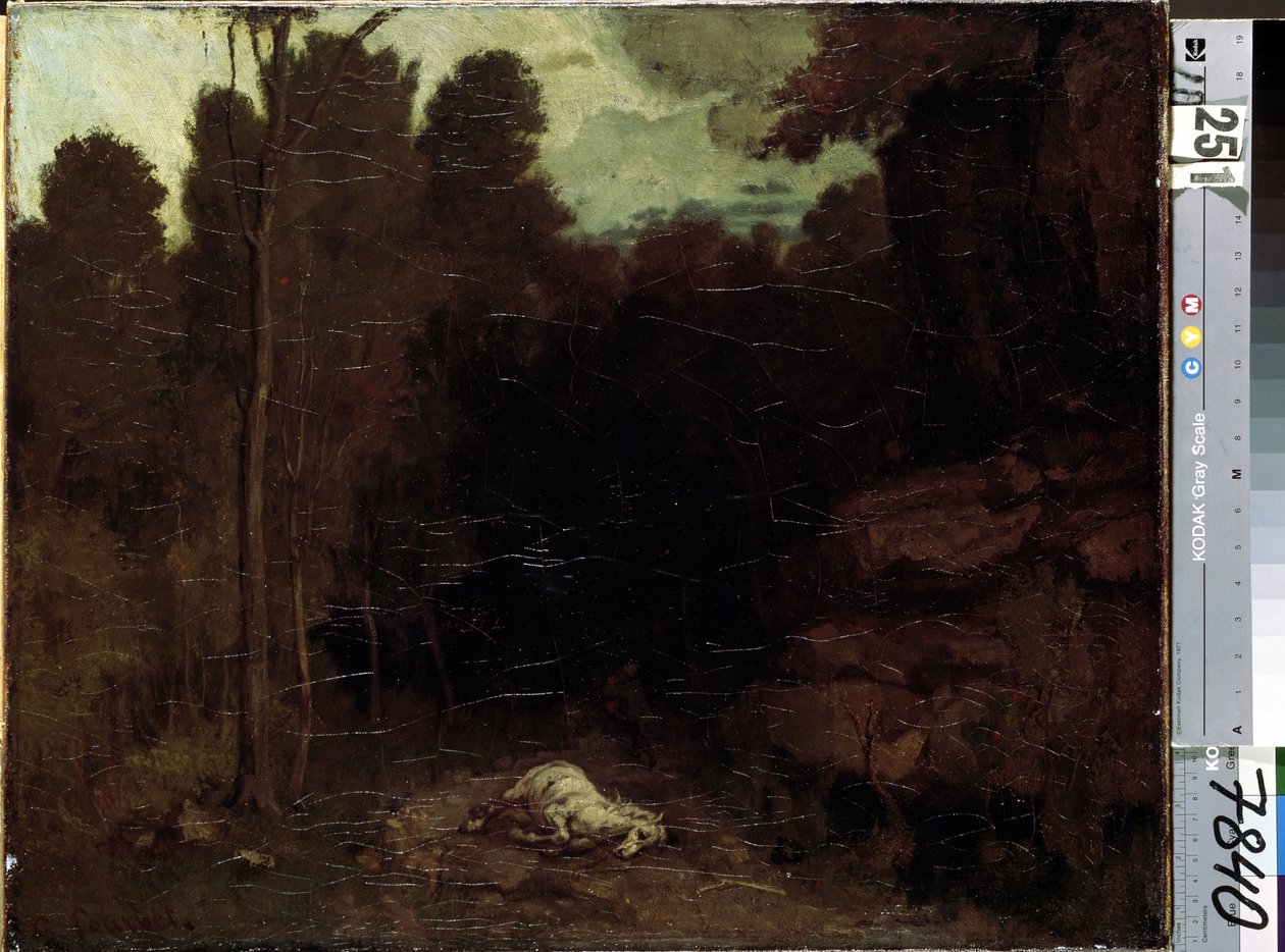 Nieznany obraz autorstwa Gustave Courbet