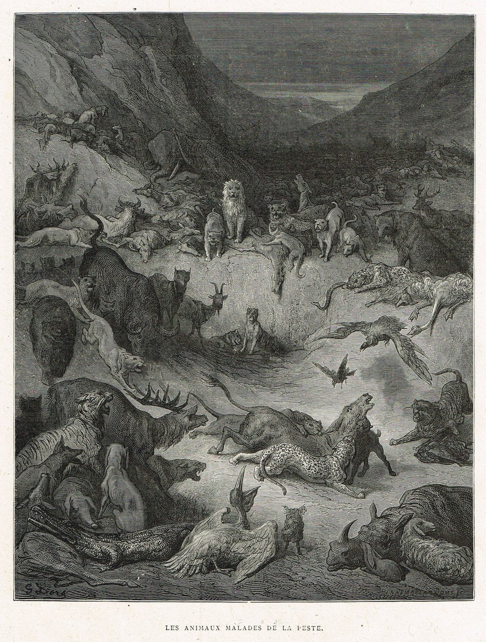 Zwierzęta chore na zarazę autorstwa Gustave Dore