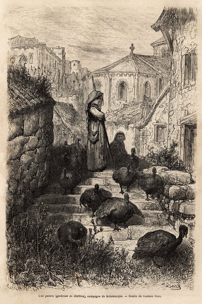 Opiekun indyków na ulicach wioski na wsi Salamanki. Rysunek Gustave Dore (1832-1883). Grawerunek ilustrujący podróż po Hiszpanii, Charles Davillier, w 1862, opublikowany w „”Le tour du monde”””” 1872, pod redakcją Edouarda Charta autorstwa Gustave Dore