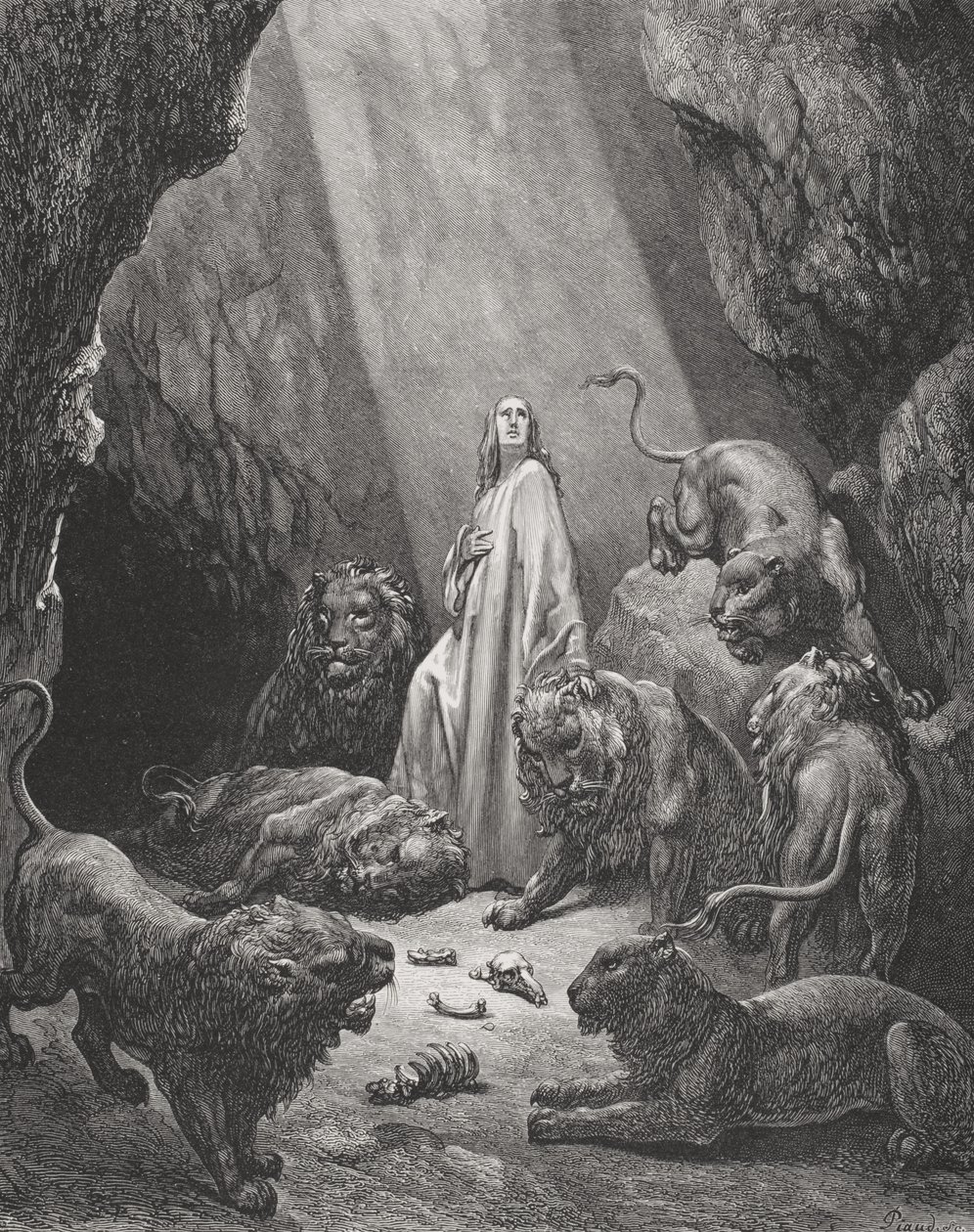 Daniel w jaskini lwów, Księga Daniela 6:16-17, ilustracja z 