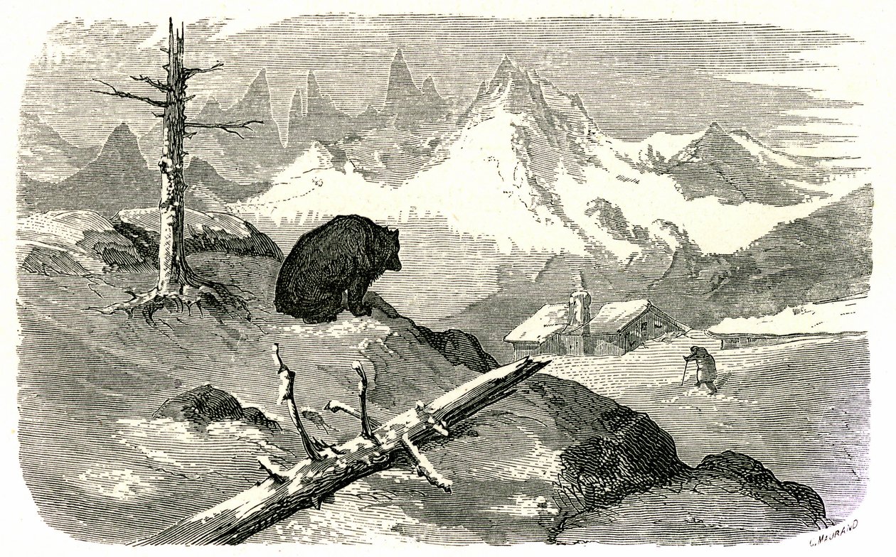 Rycina autorstwa Gustave