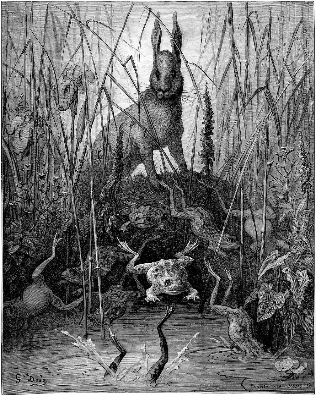 Le hare et les frogs: fable by Jean de la Fontaine illustree by Gustave Dore - The hare and the frogs - Zając i żaby. autorstwa Gustave Dore