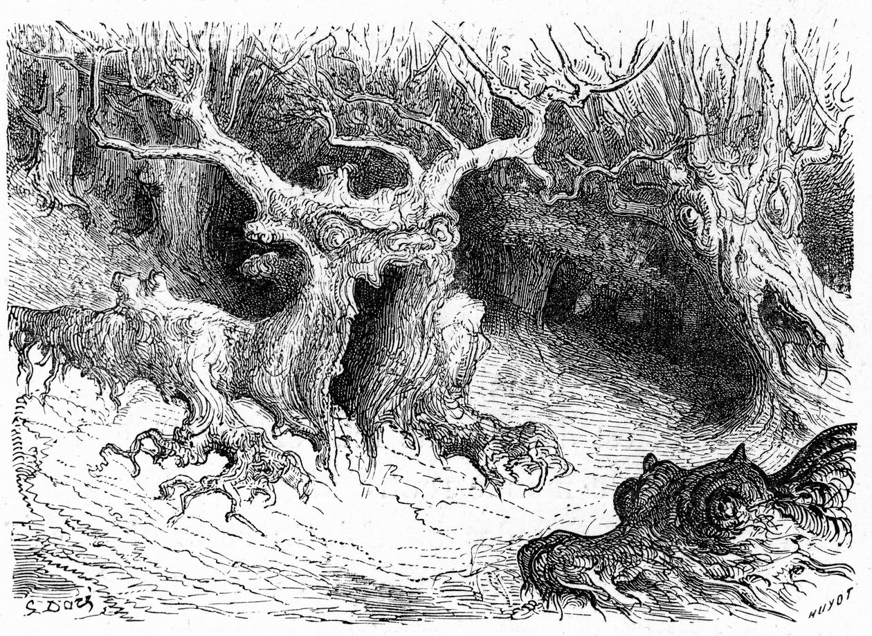 Monstrualny buk w dolinie Ossau, antropomorficzne drzewa-potwory. Rycina Gustave