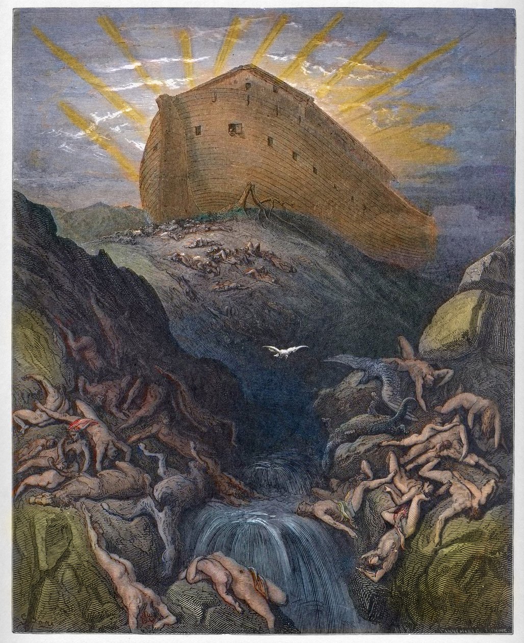 Arka Noego - Gołąb Wysłany z Arki - Gołąb Wysłany z Arki Noego - Grawerowanie z „”Ilustracja Biblii” Gustave