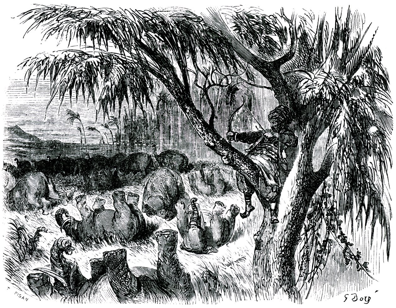 Sindbad Żeglarz (Sinbad) - baśń tysiąca i jednej (1001) nocy - ilustracja Gustave Dore - wydanie Maxwell 1865 - Siódma podróż: Sindbad, okoń na drzewie, ciągnie dziobem na słoniach autorstwa Gustave Dore