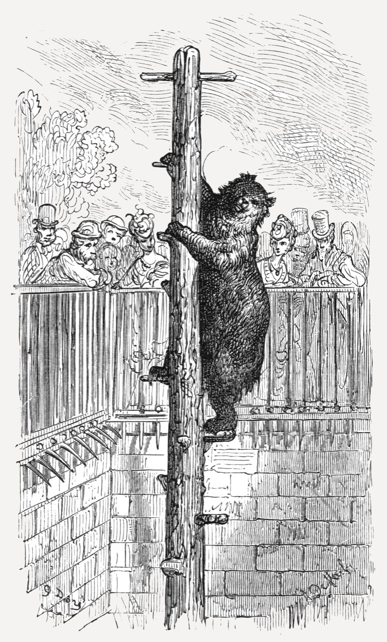 „Niedźwiedzia jama – ogrody zoologiczne”, 1872 r. autorstwa Gustave Dore