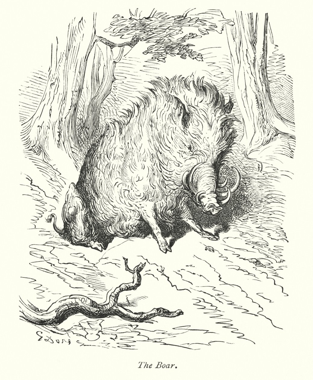 Dzik (rycina) autorstwa Gustave Dore