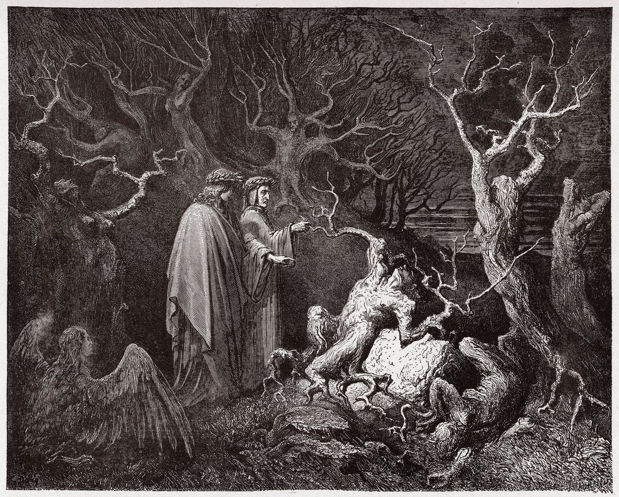 Boska Komedia (La Divina Commedia, La Divine Comedie), Inferno, Canto 13: Samobójstwa w lesie - Dante Alighieri (1265-1321) - Ilustracja Gustave Dore (1832-1883) autorstwa Gustave Dore