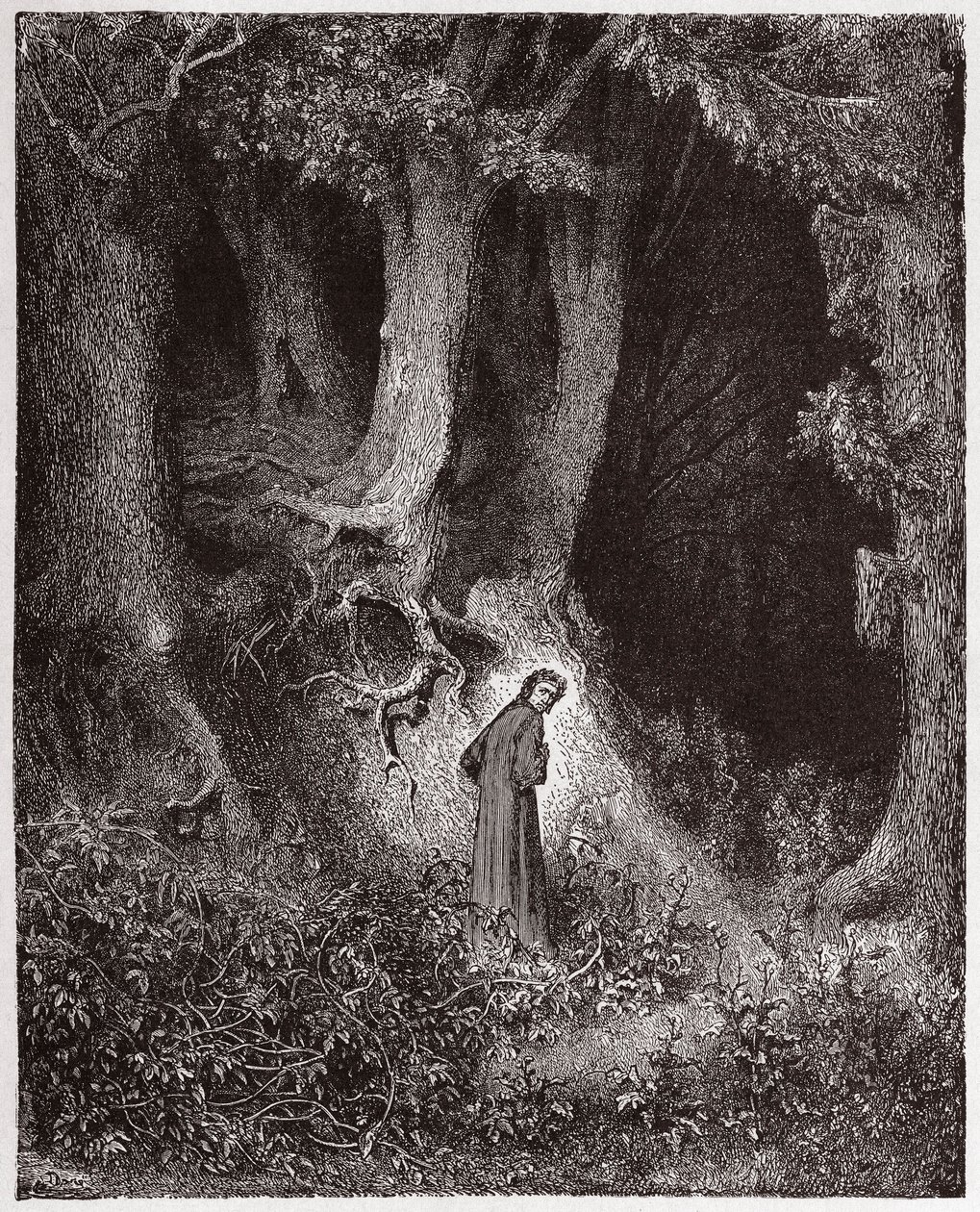 Boska Komedia (La Divina Commedia, La Divine Comedie), Inferno, Canto 1: Dante w dzikim lesie - autorstwa Dante Alighieri (1265-1321) - Ilustracja Gustave Dore (1832-1883) autorstwa Gustave Dore