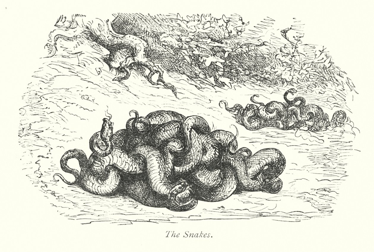 Węże (grawerunek) autorstwa Gustave Dore