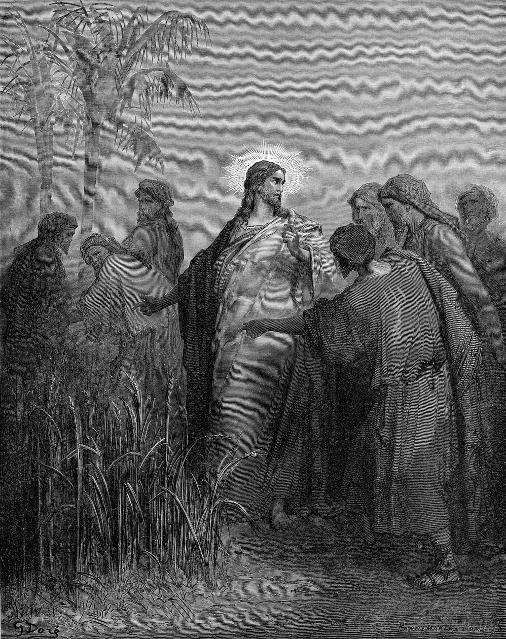 Uczniowie zbierający zboże w szabat autorstwa Gustave Dore