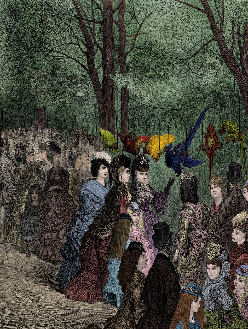 Spacer z papugami w wiktoriańskim londyńskim zoo przez Doré autorstwa Gustave Dore