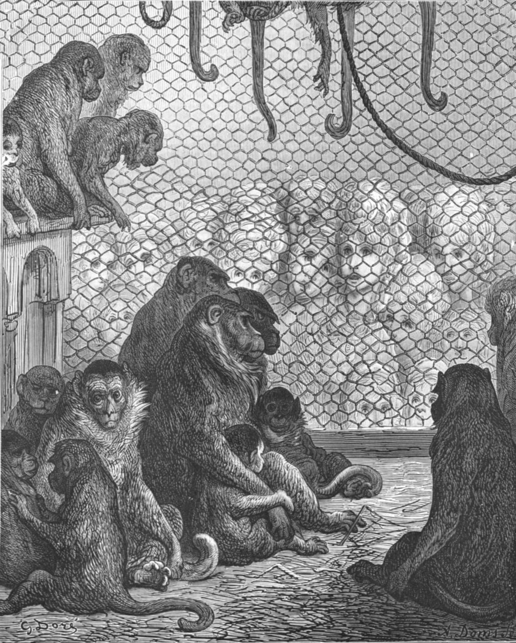 „Ogrody zoologiczne – dom małp”, 1872 r. autorstwa Gustave Dore