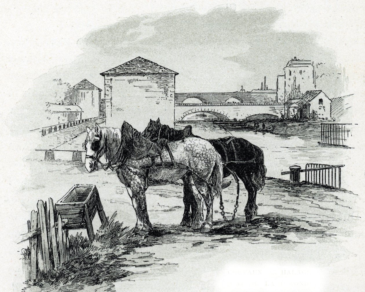 Horses de haulage, quai de la Gironde, Villette (Konie używane do holowania łodzi na kanale Saint-Denis, quai de la gironde, Villette Paris) Rysunek Gustave