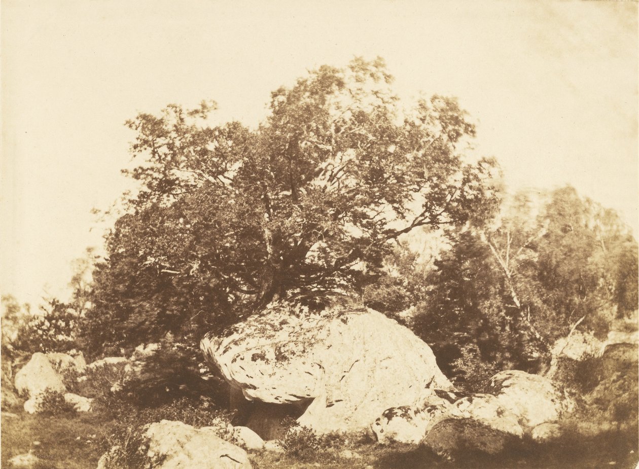 Boulder at Cabat, Epine Crossroads Forest of Fontainebleau autorstwa Gustave Le Gray