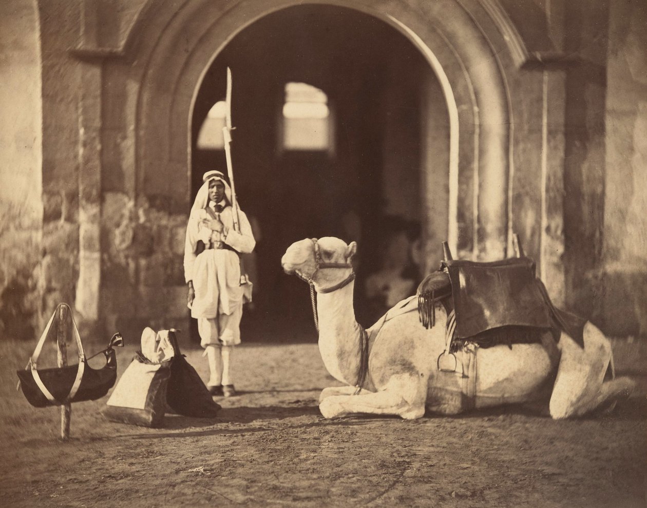 Leżący wielbłąd, ok. 1866 (fotograwiura) autorstwa Gustave Le Gray