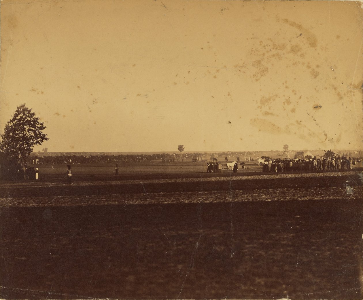 [Camp de Chalons] autorstwa Gustave Le Gray