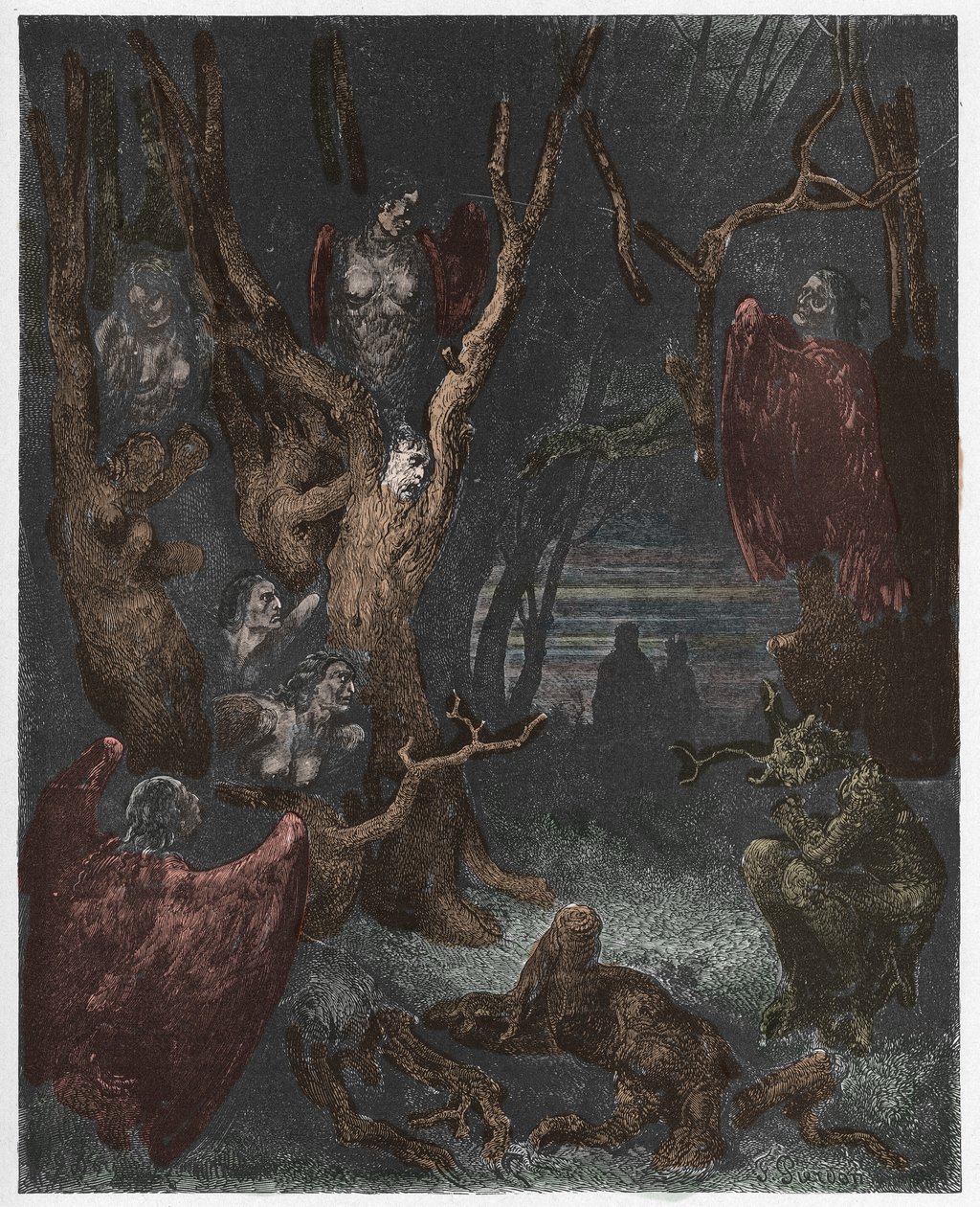 Inferno, Canto 13 : Harpie w lesie samobójców, ilustracja z Boskiej Komedii Dantego Alighieri, 1885 (rycina kolorowana cyfrowo) autorstwa Gustave after Dore