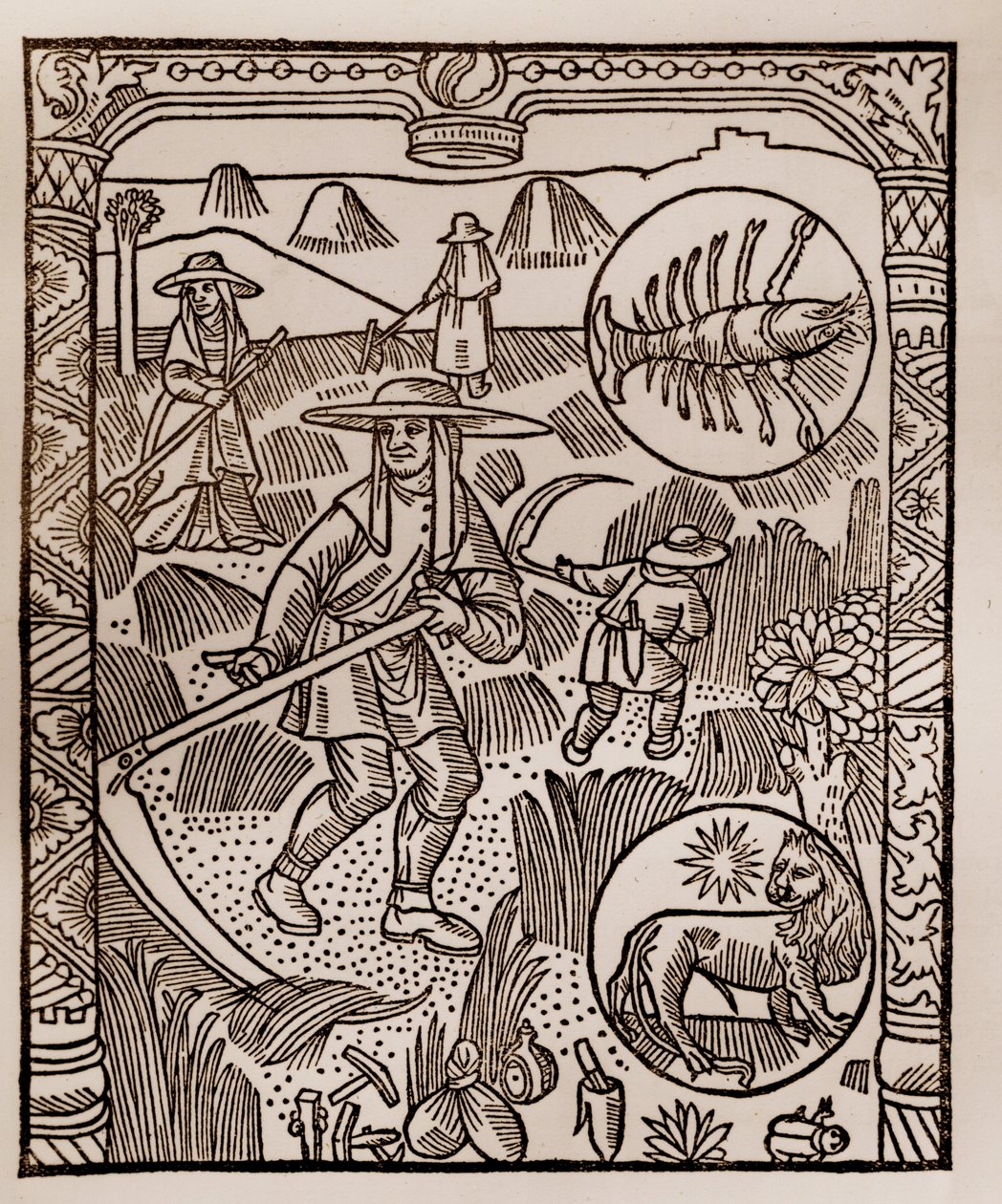 Kalendarz pasterza - Praca miesiąca - Lipiec - Drzeworyt z książki z 1496 r. wydrukowanej przez Guya Marchanta (Guido Mercator) w Troyes - Hay, la coupe des hay - Grawerowanie sur bois in „” Le grand Calendrier et compost des shepherds” - autorstwa Guy Marchant