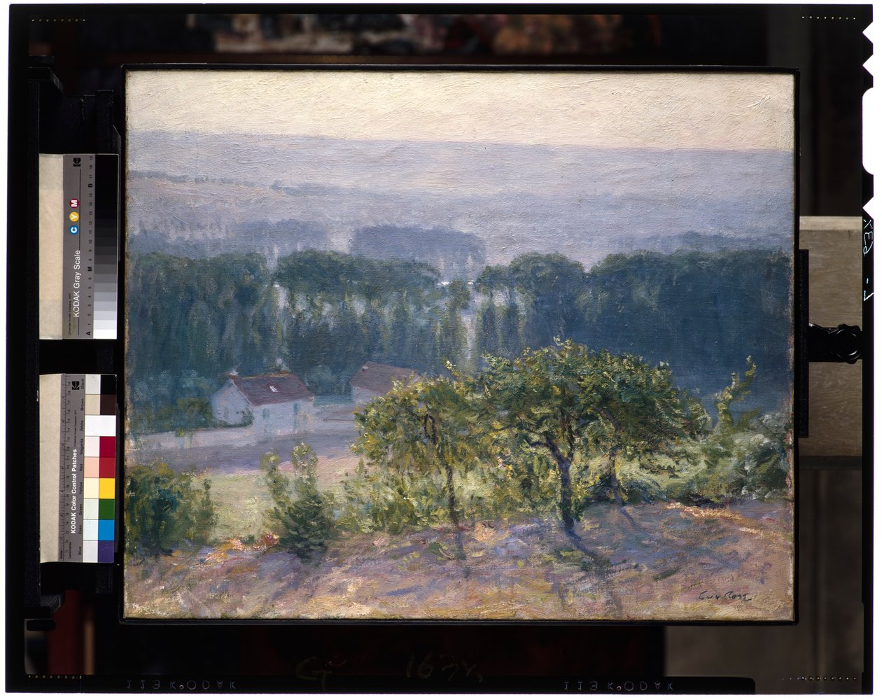 Późne popołudnie, Giverny, ok. 1905-13 (olej na płótnie) autorstwa Guy Rose