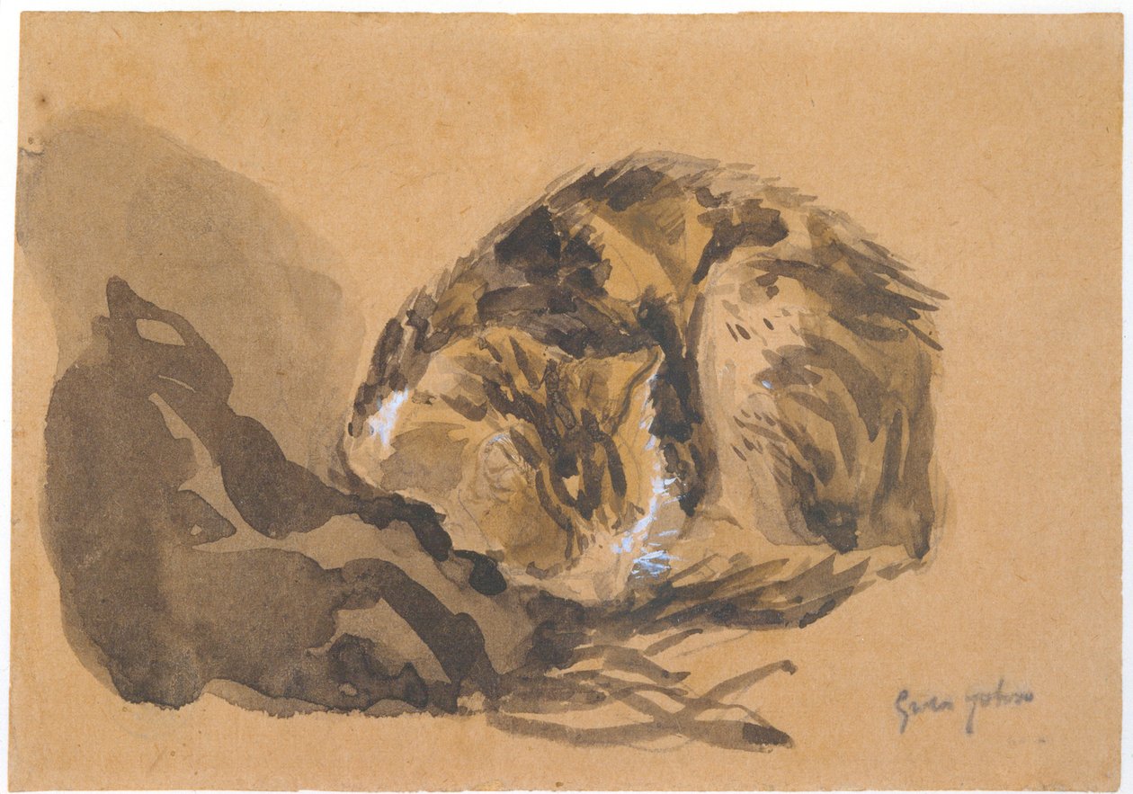Studium kota, 1905-08 autorstwa Gwen John