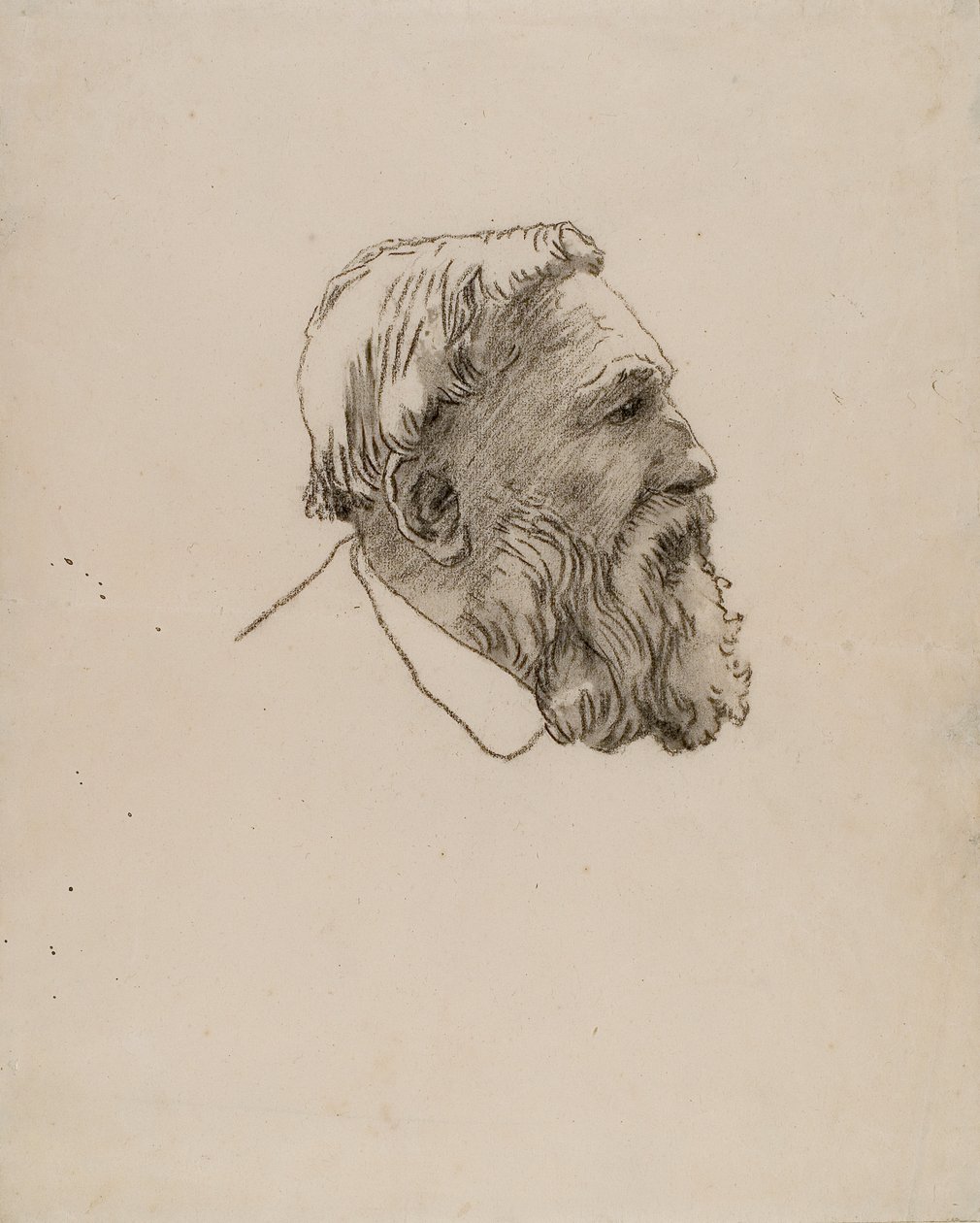 Głowa Rodina (węgiel na papierze) autorstwa Gwen John
