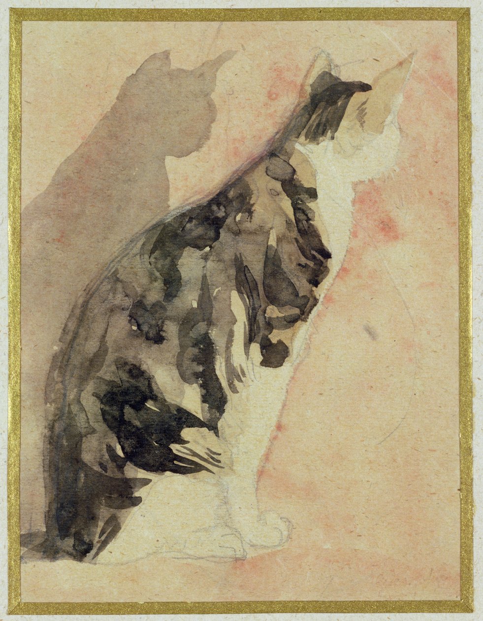 Studium kota autorstwa Gwen John