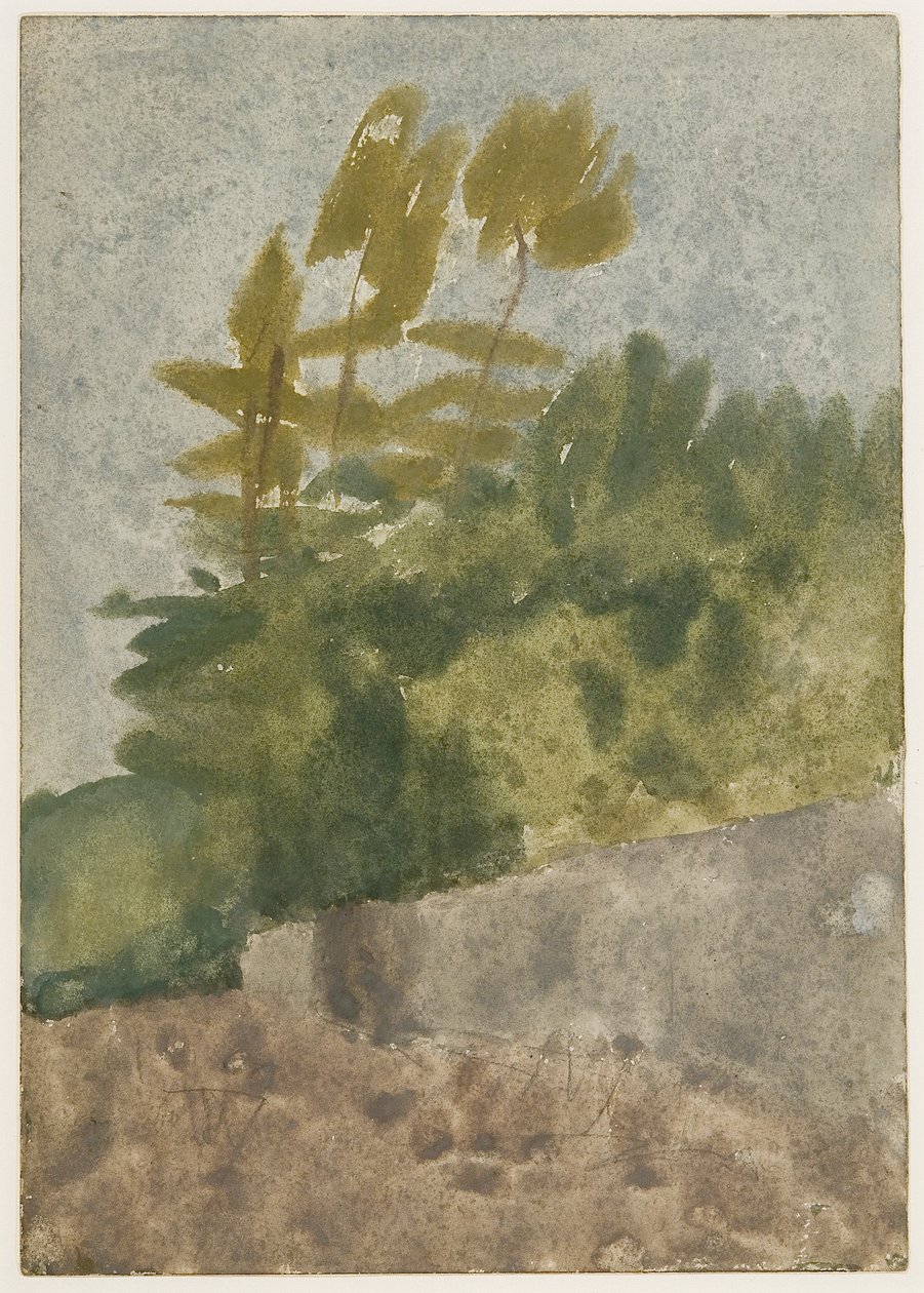 Drzewa (akwarela, gwasz i ołówek na papierze) autorstwa Gwen John