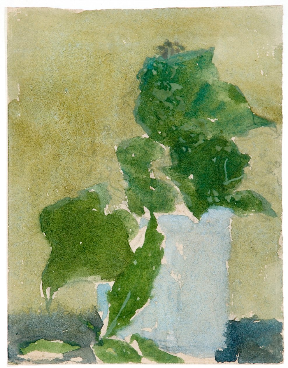 „Konwalie w dzbanku”, 1896-1939 autorstwa Gwendolen Mary John