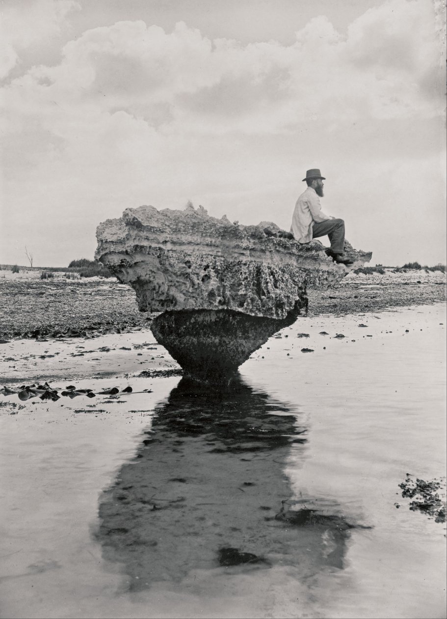 Gorset Rock autorstwa H. H. Tilbrook