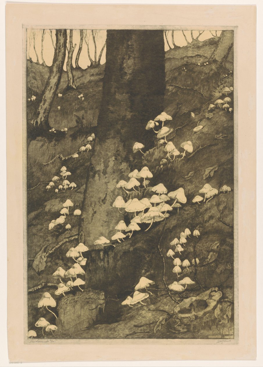 Grzyby w lesie Jesień (tytuł oryginalny) autorstwa H.C. Spruit (signed by artist)