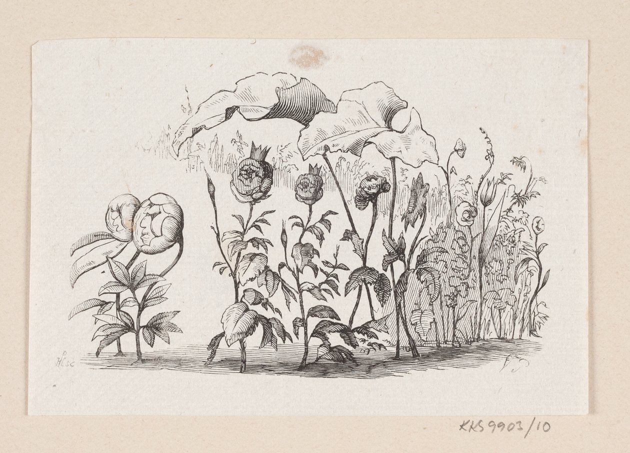 Ilustracja do „Den lille Idas Blomster” w H.C. Andersen, „Baśnie i historie”, tom 1 autorstwa H.P. Hansen