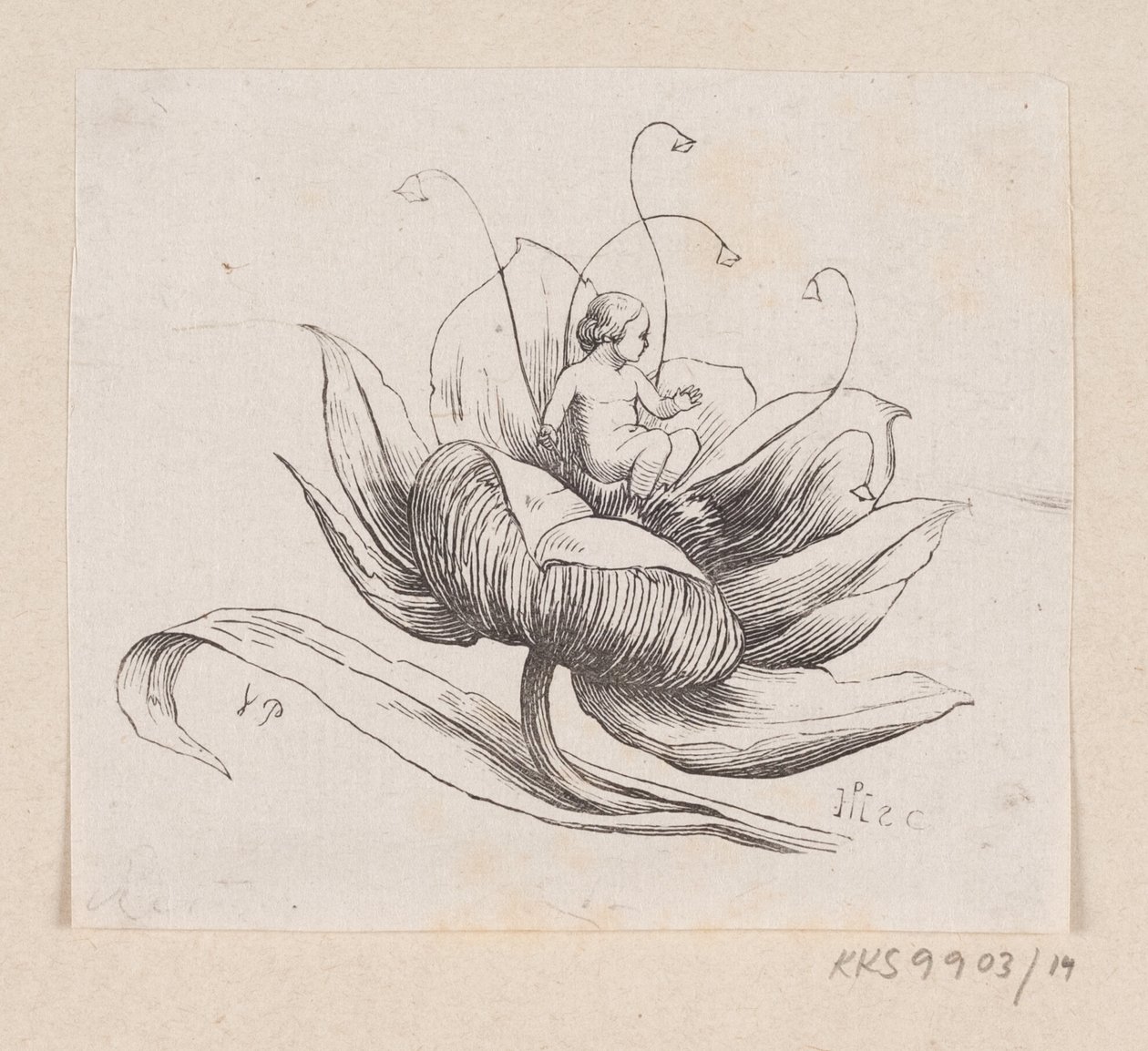 Ilustracja do „Tommelise” w H.C. Andersen, „Baśnie i historie”, tom 1 autorstwa H.P. Hansen