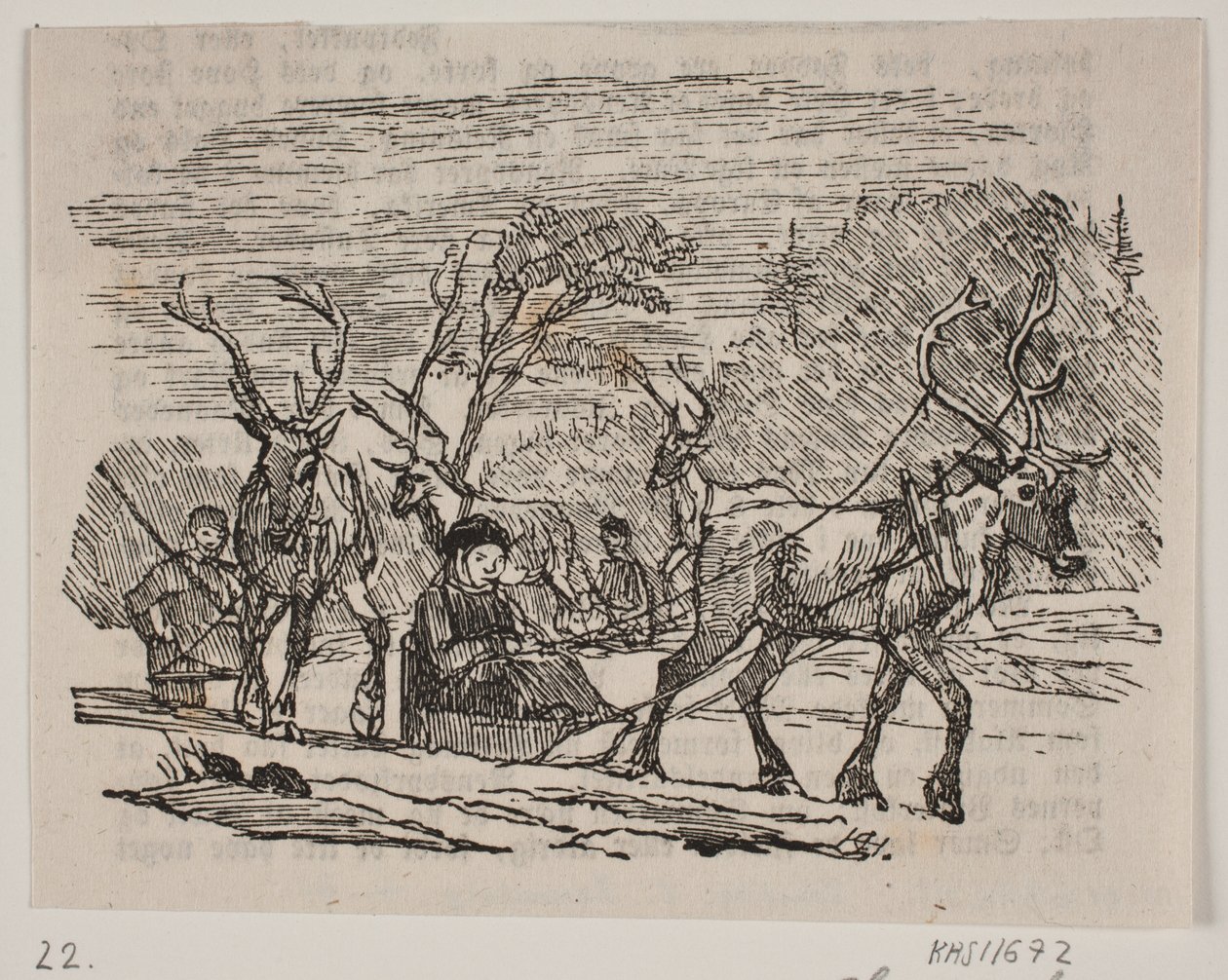 Kulig z reniferami autorstwa H. C. Henneberg